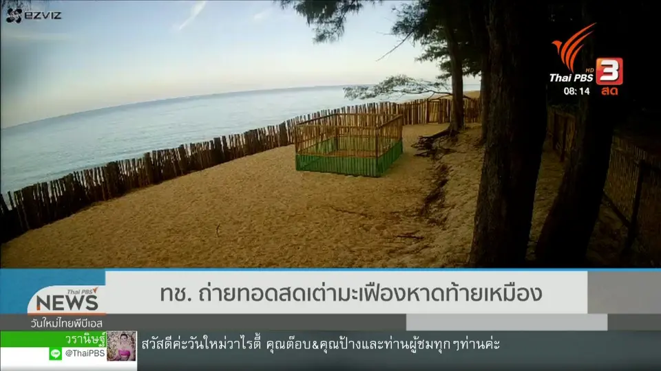 จับตาข่าวเด่น : ทช. ถ่ายทอดสดเต่ามะเฟือง หาดท้ายเหมือง