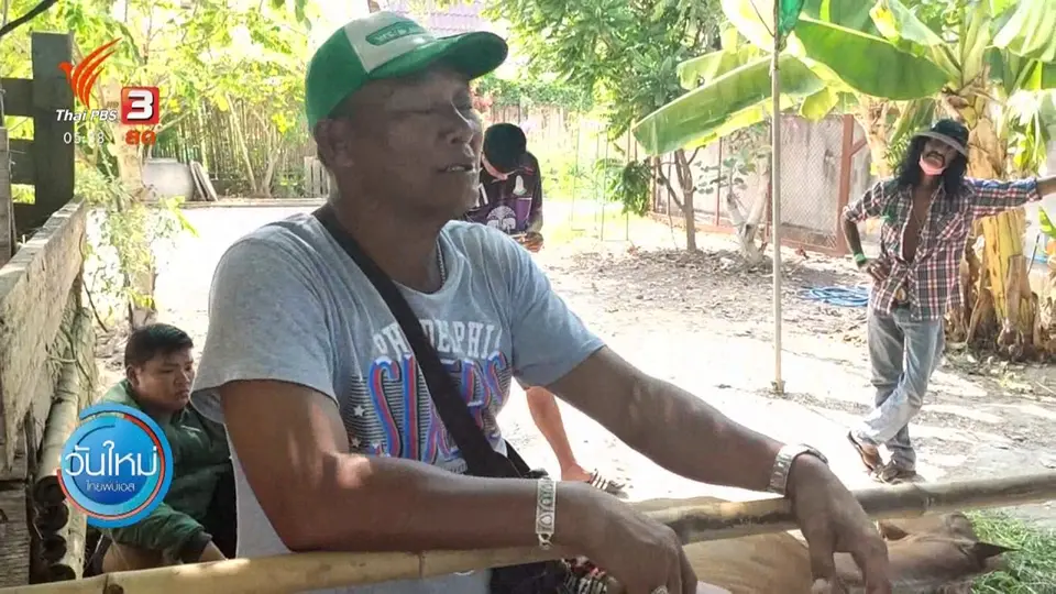 ​หัวหินประกาศกาฬโรคแอฟริกันระบาดในม้า