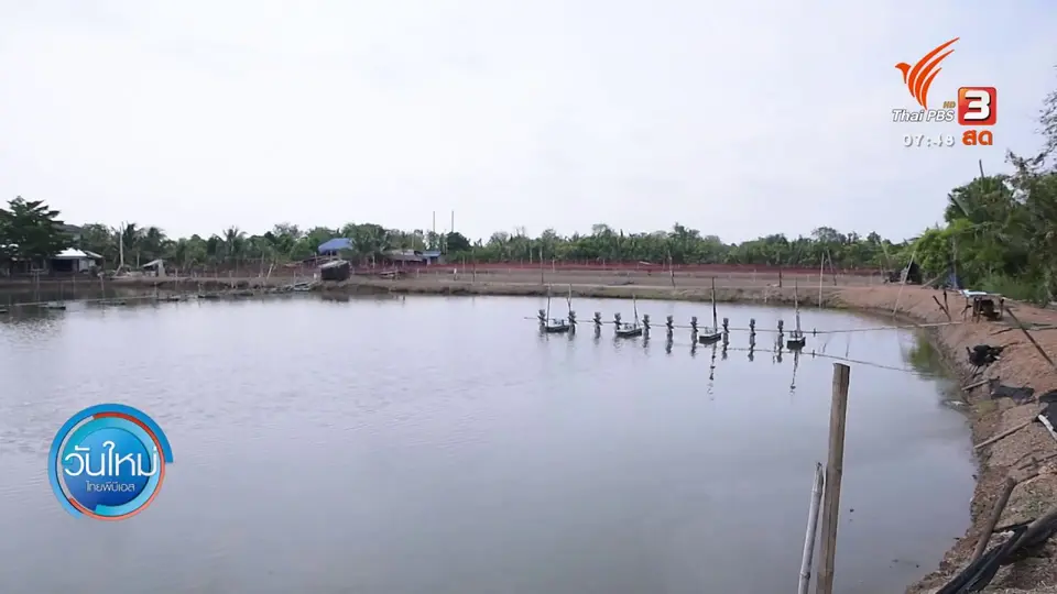 ตอบโจทย์ภัยพิบัติ : เครือข่ายผลิตจานกาบหมาก เพื่อโรงพยาบาล