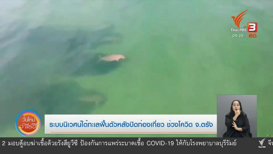 ​สีสันวาไรตี้ (30 เม.ย. 63)