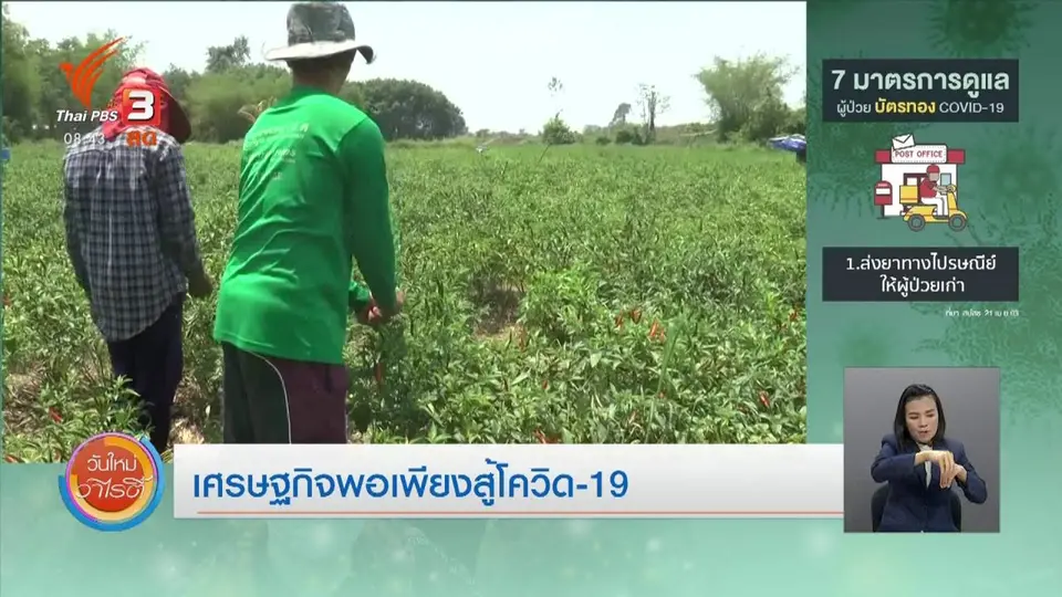 ​ประเด็นสังคม : เศรษฐกิจพอเพียงกู้วิกฤตโควิด-19