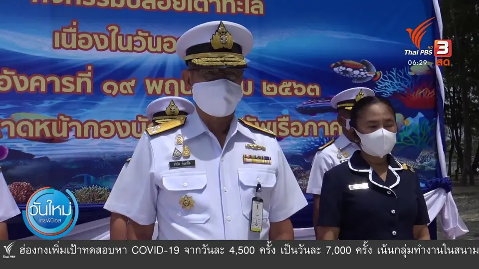 ทหารเรือปล่อยเต่าทะเลคืนสู่ธรรมชาติ