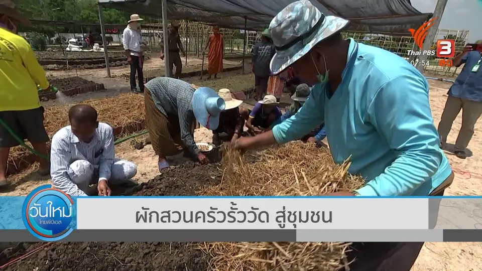 ตอบโจทย์ภัยพิบัติ : ผักสวนครัวรั้ววัดสู่ชุมชน