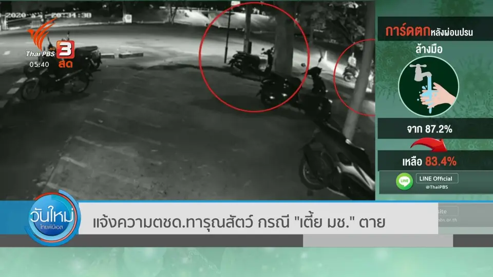 แจ้งความทารุณกรรมสัตว์ กรณี "เตี้ย" มช. ตาย