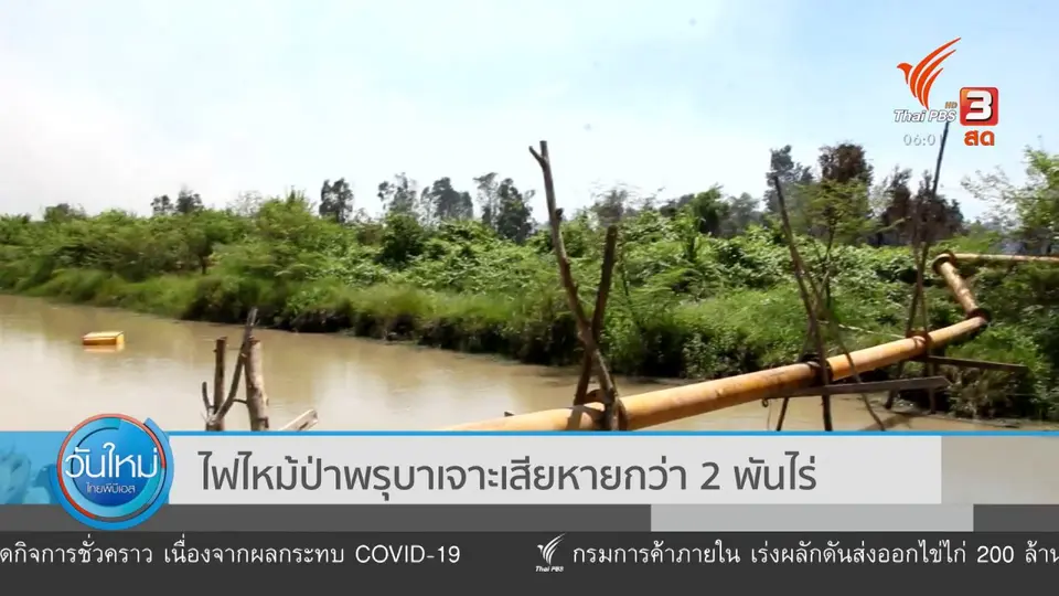 ​ไฟไหม้ป่าพรุบาเจาะเสียหายกว่า 2 พันไร่