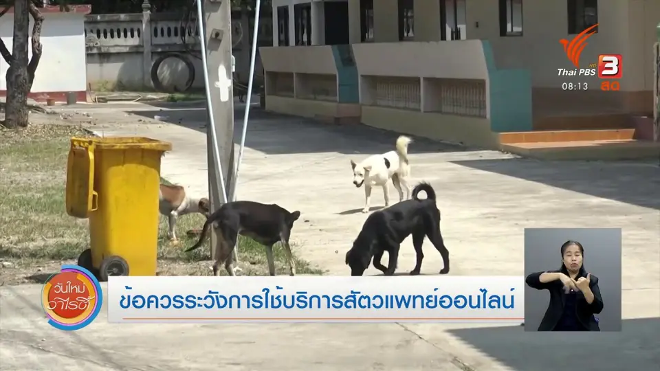 ​จับตาข่าวเด่น​ : ข้อควรระวังการใช้บริการสัตวแพทย์ออนไลน์