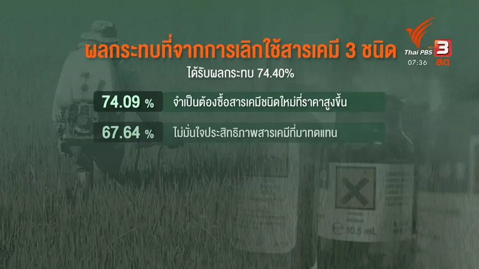 ​กินอยู่รู้รอบ : ชาวไร่อ้อยรับอาจปลูกพืชอื่นหลังแบนพาราควอต