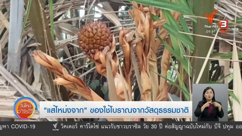 ​สีสันวาไรตี้ (2 มิ.ย. 63)