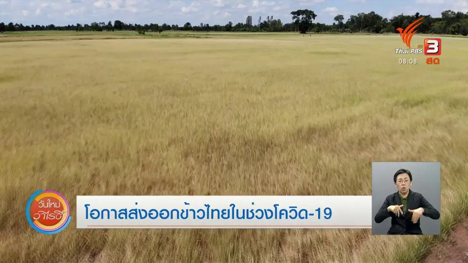 จับตาข่าวเด่น : โอกาสส่งออกข้าวไทยในช่วงโควิด-19