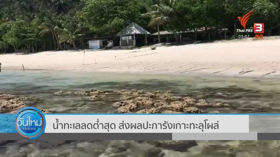 น้ำทะเลลดต่ำสุด ส่งผลปะการังเกาะทะลุโผล่