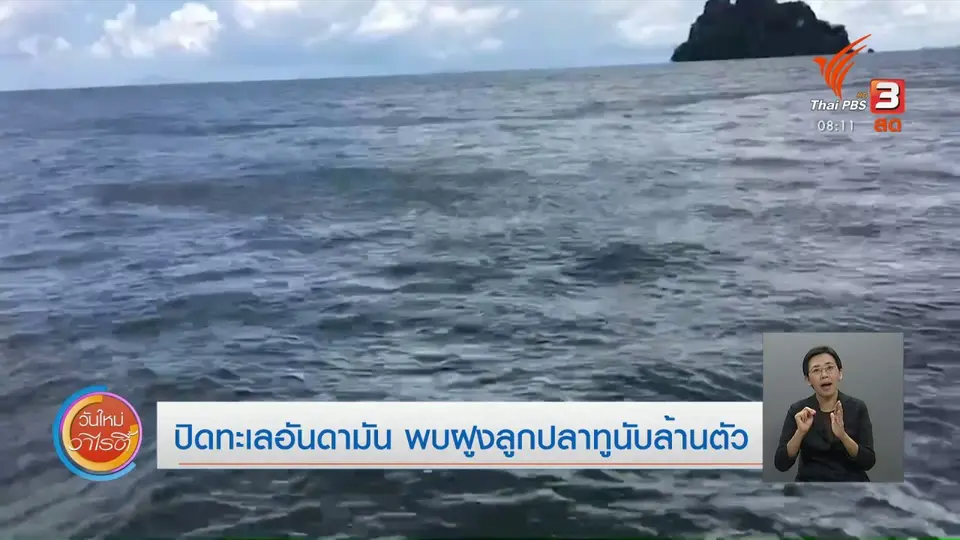 จับตาข่าวเด่น : ปิดอ่าวอันดามันพบฝูงลูกปลาทูนับล้านตัว