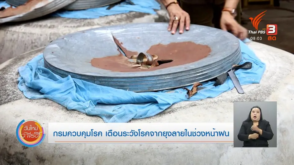 จับตาข่าวเด่น : กรมควบคุมโรค เตือนระวังโรคจากยุงลายในช่วงหน้าฝน