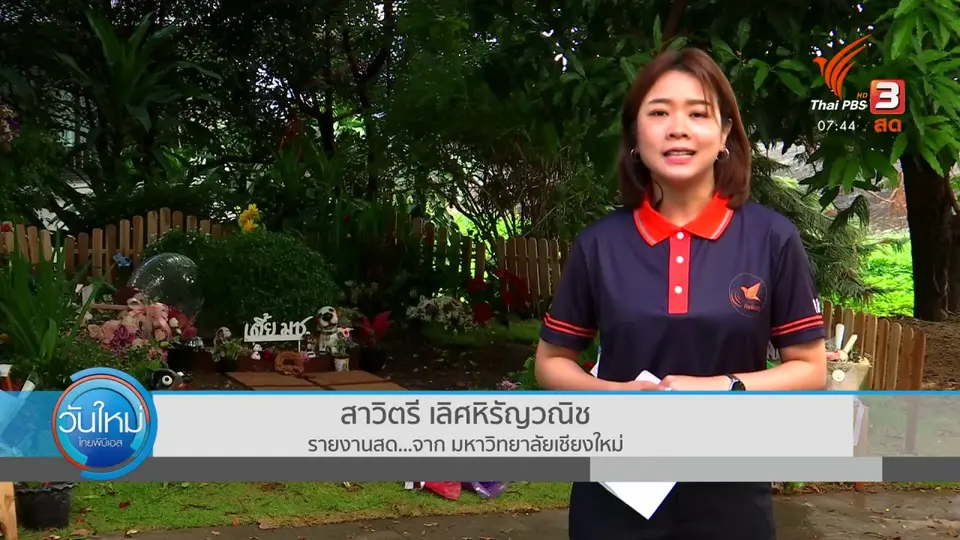 ตอบโจทย์ภัยพิบัติ : "เตี้ย มช." สุนัขชุมชนในรั้วมหาวิทยาลัย