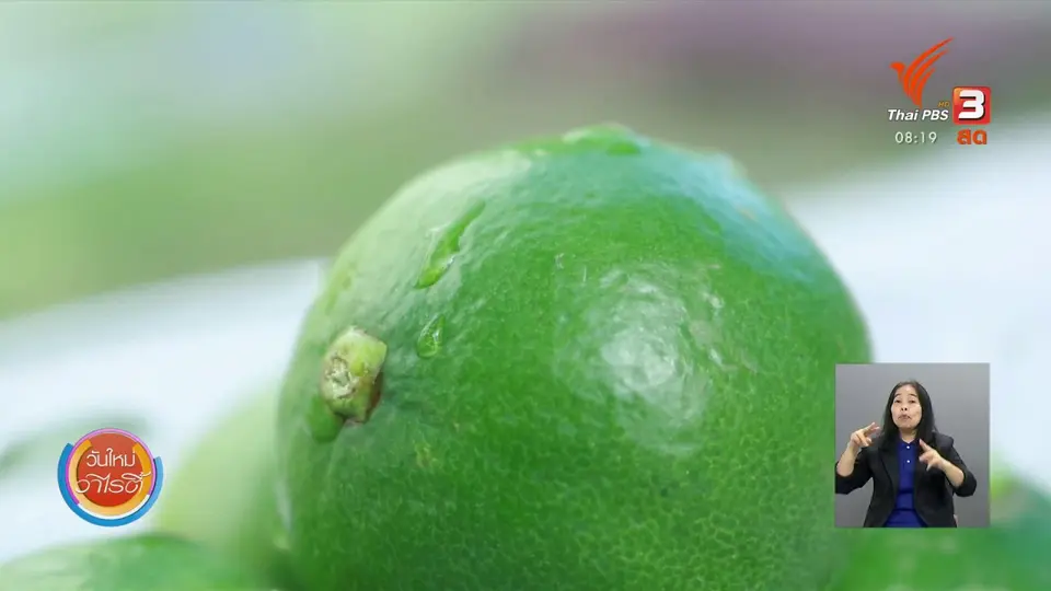 จับตาข่าวเด่น : ข่าวปลอม ดื่มน้ำอุ่นใส่มะนาว ฆ่าเซลล์มะเร็งได้