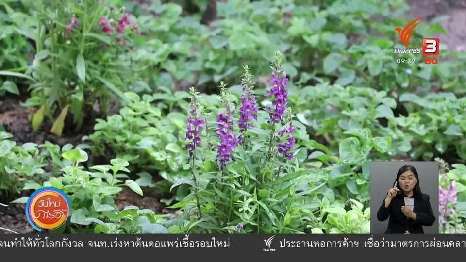 สีสันวาไรตี้ (16 มิ.ย. 63)