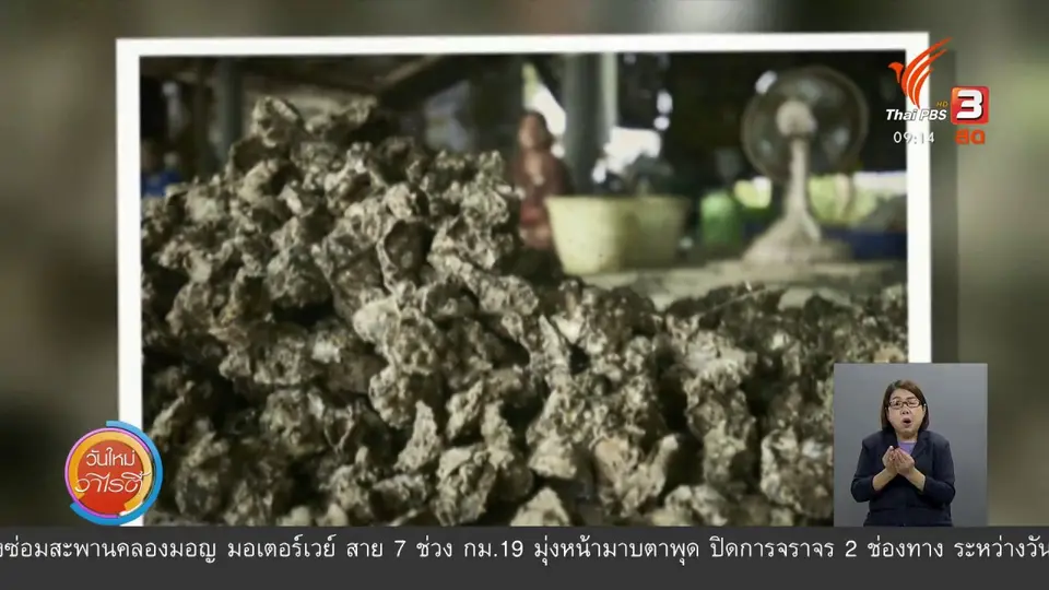 ประเด็นสังคม : โครงการสร้างสรรค์นวัตกรรมเพื่อแก้ปัญหาในชุมชนอย่างยั่งยืน