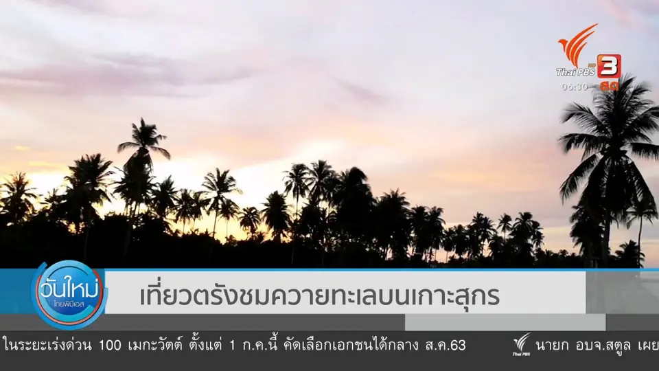 ​เที่ยวตรังชมควายทะเลบนเกาะสุกร