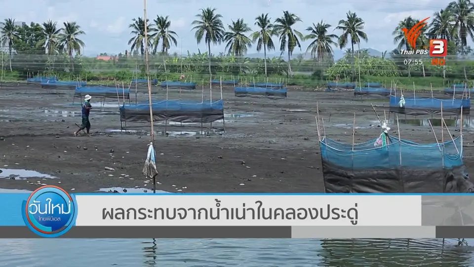 ​ตอบโจทย์ภัยพิบัติ : ผลกระทบจากน้ำเน่าในคลองประดู่