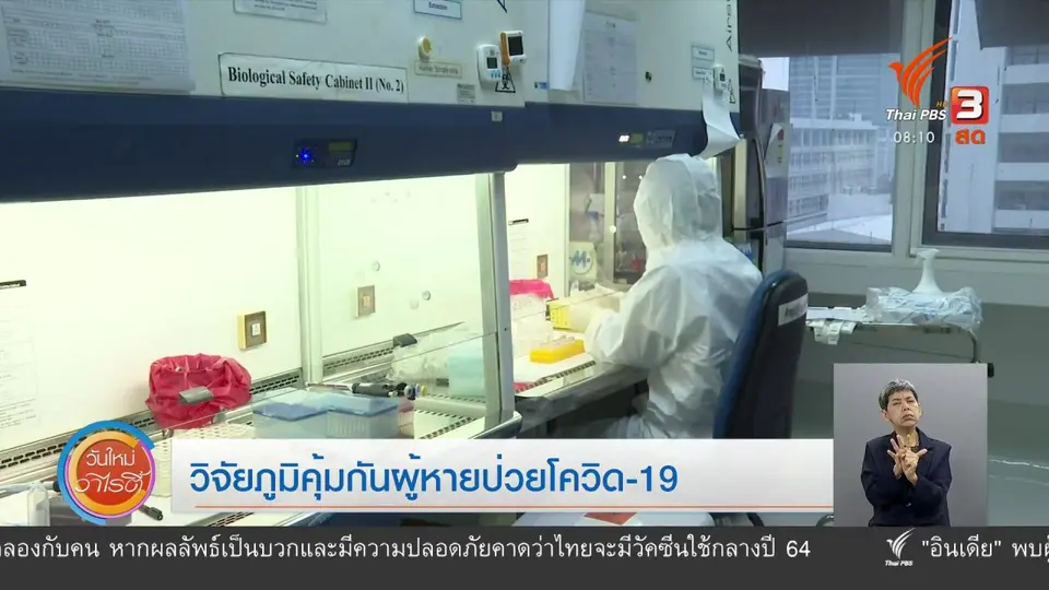​จับตาข่าวเด่น​ : วิจัยภูมิคุ้มกันผู้หายป่วยโควิด-19