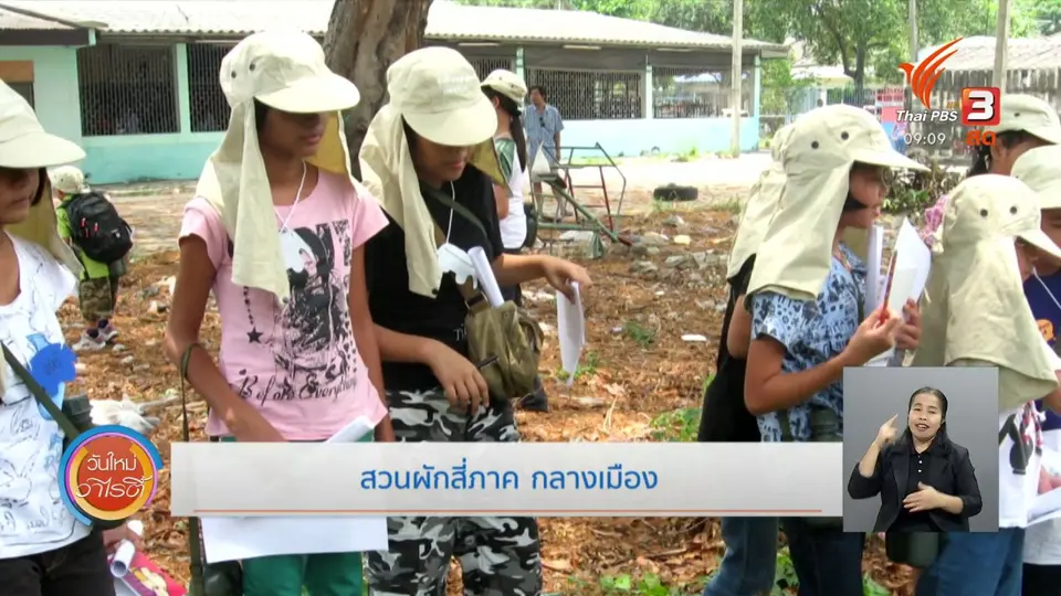 ประเด็นสังคม : สวนผักสี่ภาค กลางเมือง