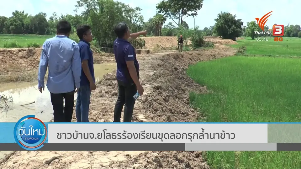 ​ชาวบ้าน จ.ยโสธร ร้องเรียนขุดลอกรุกล้ำนาข้าว