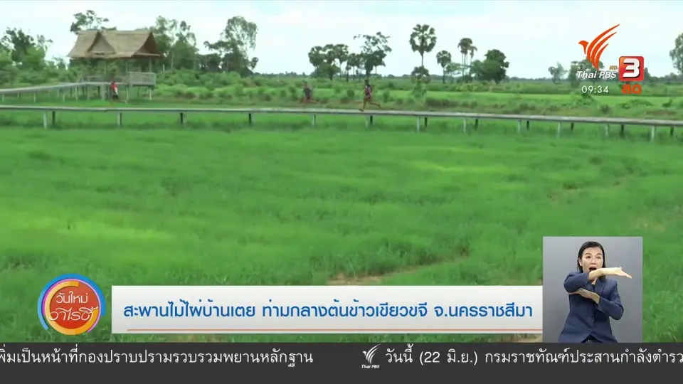 ​สีสันวาไรตี้ (22 มิ.ย. 63)