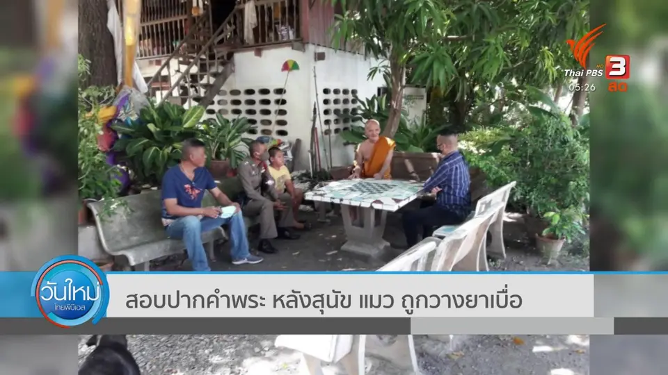 ​สอบปากคำพระ หลังสุนัข แมว ถูกวางยาเบื่อ