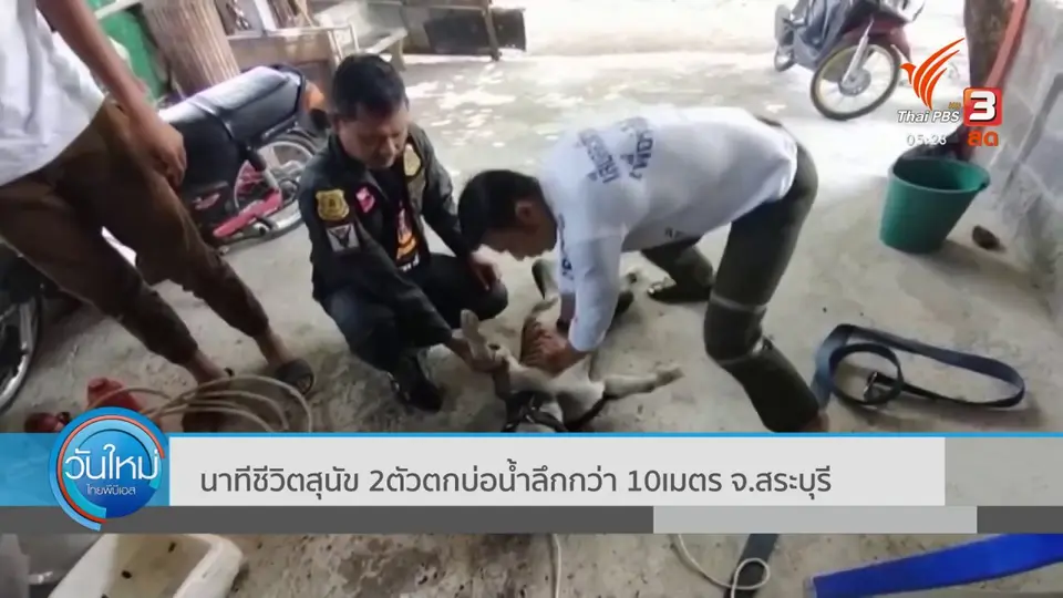 ​นาทีชีวิตสุนัข 2ตัวตกบ่อน้ำลึก