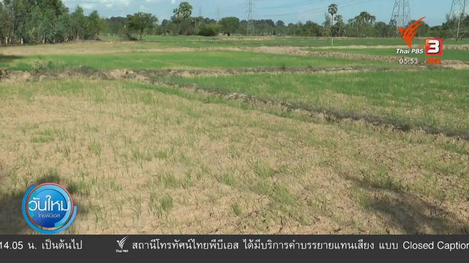 ​ภาคอีสานประสบปัญหาฝนทิ้งช่วง