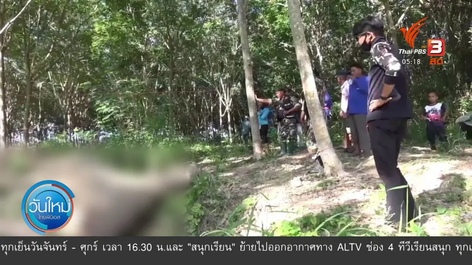 ​ช้างป่ากุยบุรีถูกยิงตายคาสวนยาง จ.ประจวบคีรีขันธ์