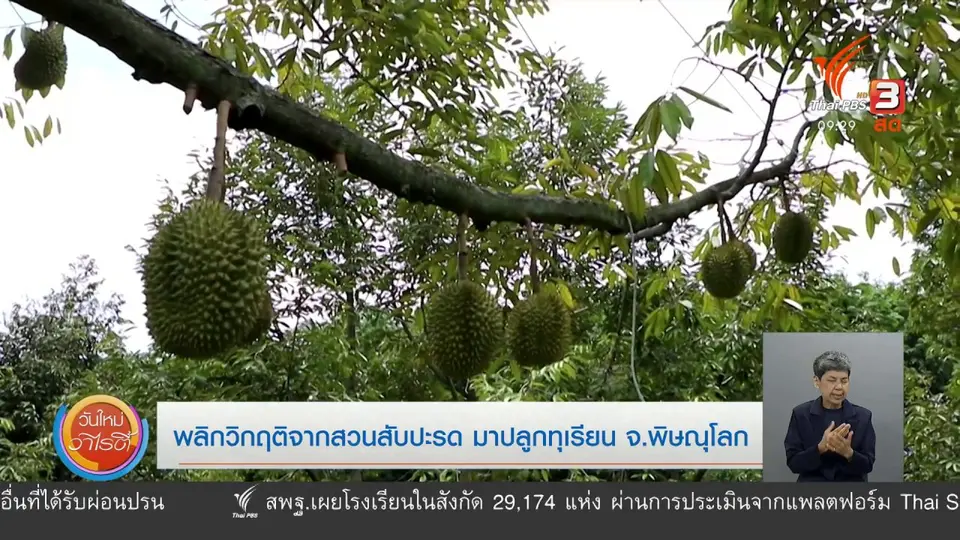 ​สีสันวาไรตี้ (1 ก.ค. 63)