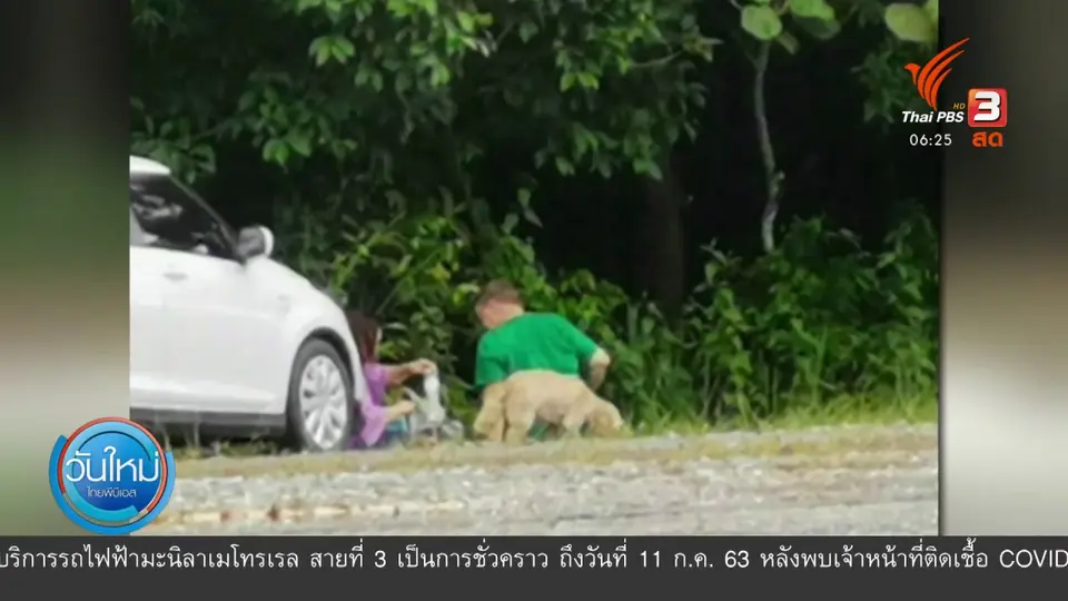 อช.เขาใหญ่ชี้นำสุนัขเข้าพื้นที่อาจปรับเป็นแสน