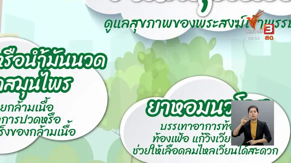 จับตาข่าวเด่น​ : แพทย์แนะถวายสังฆทานยาสมุนไพร