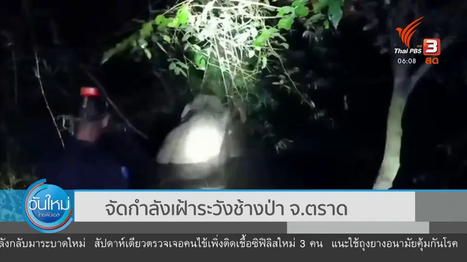 ​จัดกำลังเฝ้าระวังช้างป่า จ.ตราด