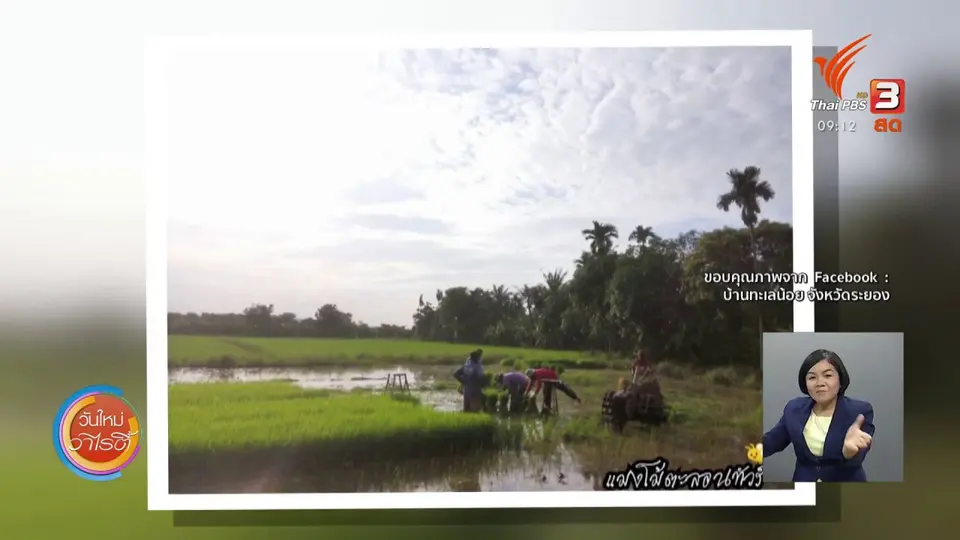 ประเด็นสังคม : การท่องเที่ยวเชิงชุมชน สู่การอนุรักษ์วิถีชีวิตคนบ้านทะเลน้อย