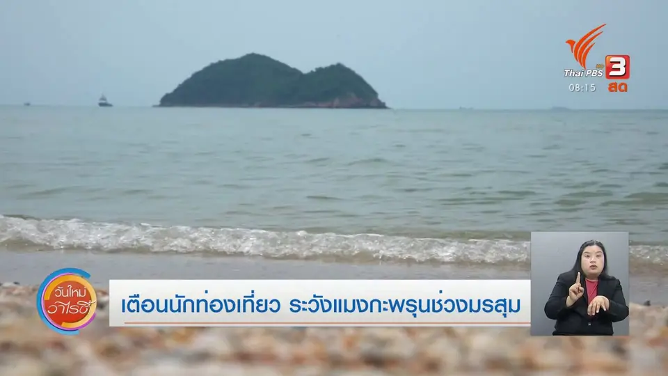 จับตาข่าวเด่น​ : เตือนนักท่องเที่ยว ระวังแมงกะพรุนช่วงมรสุม