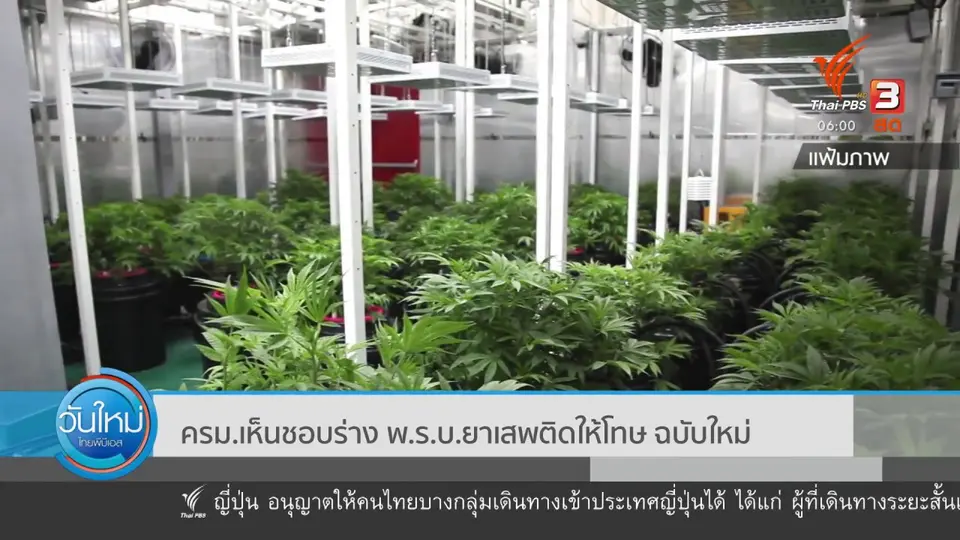 ​ครม.เห็นชอบร่าง พ.ร.บ.ยาเสพติดให้โทษ ฉบับใหม่