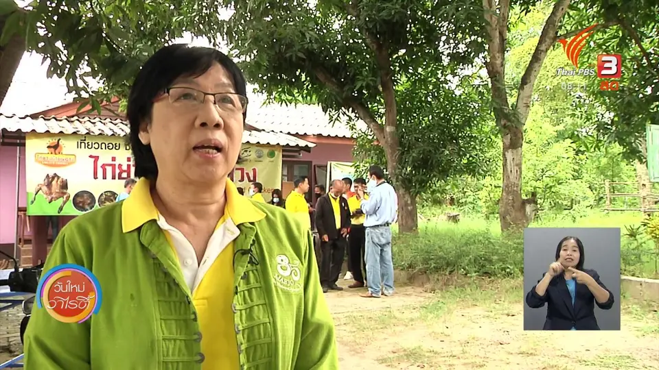 จับตาข่าวเด่น : สกสว. ส่งเสริมเกษตรกรเลี้ยงไก่พื้นเมือง “ประดู่หางดำ”