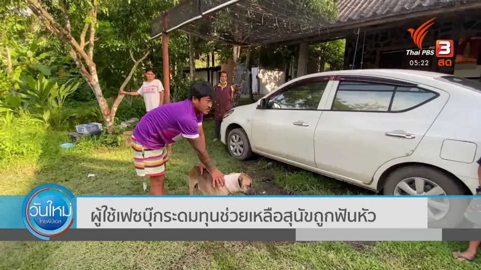ผู้ใช้เฟซบุ๊กระดมทุนช่วยเหลือสุนัขถูกฟันหัว