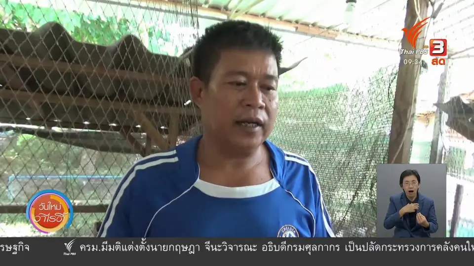 ​สีสันวาไรตี้ (19 ส.ค. 63)