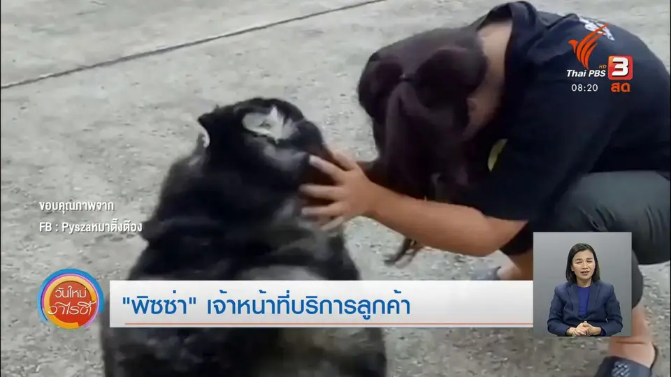 จับตาข่าวเด่น : “พิซซ่า” เจ้าหน้าที่บริการลูกค้า