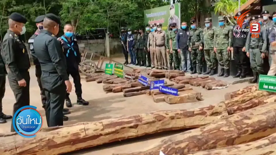 ยึดไม้พะยูงลักลอบขายประเทศเพื่อนบ้าน