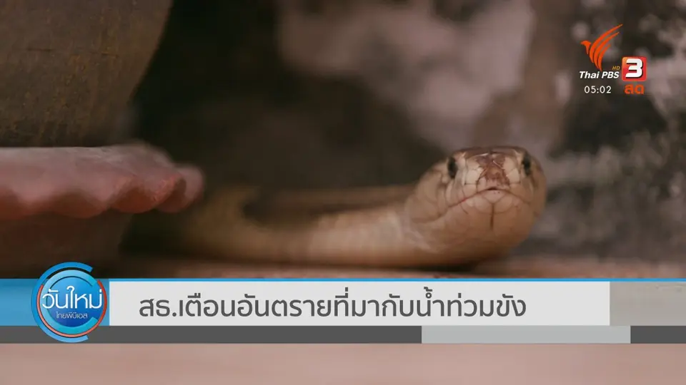 สธ.เตือนอันตรายที่มากับน้ำท่วมขัง