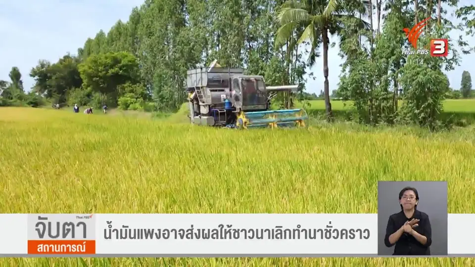 ​น้ำมันแพงอาจส่งผลให้ชาวนาเลิกทำนาชั่วคราว​