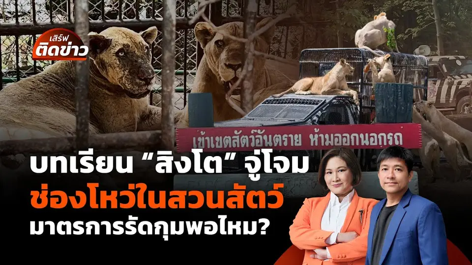 "สิงโต" จู่โจม จนท.กับช่องโหว่ในสวนสัตว์นักท่องเที่ยวปลอดภัยไหม? | เสิร์ฟติดข่าว | 12 ก.ย.68