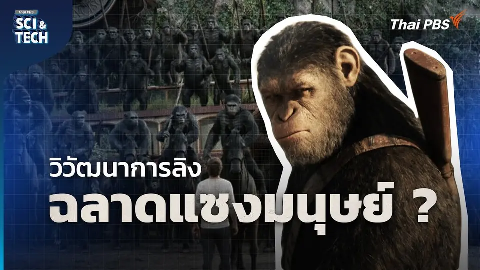 Planet Of The Apes อนาคตวิวัฒนาการลิง ฉลาดแซงหน้ามนุษย์ ?