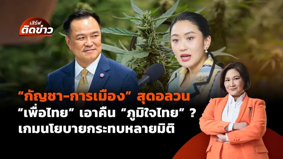 "กัญชา-การเมือง" สุดอลวน "เพื่อไทย" เอาคืน "ภูมิใจไทย"? | เสิร์ฟติดข่าว | 25 มิ.ย. 68