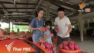 ไก่ชุบเกล็ดขนมปังทอด ราดซอสแก้วมังกร