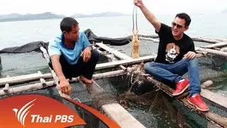 กุ้งมังกร