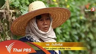 7 ม.ค. 59
